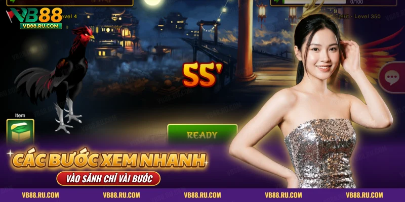 Màn game đá gà online sẵn sàng vào trận sau các bước xem trực tiếp