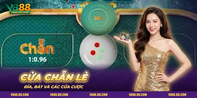 Màn xóc đĩa online có đĩa bốn đồng xu hai màu, bát úp và cửa Chẵn