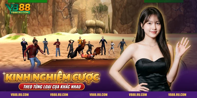 Kinh nghiệm cược theo loại cựa qua màn game đá gà trong sới