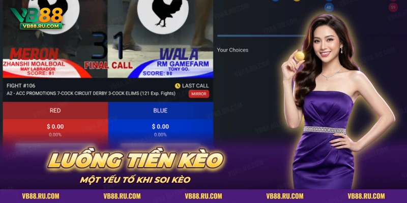 Hai cửa cược đỏ xanh kèm phần trăm tiền cược trong luồng tiền kèo