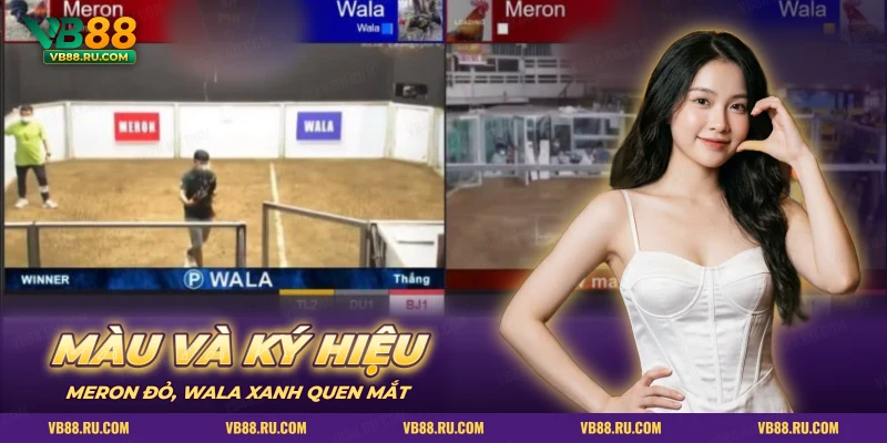 Hai khung xem trực tiếp đá gà với cửa Meron đỏ và Wala xanh