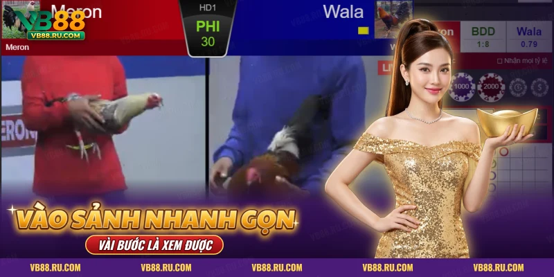 Hai khung xem trực tiếp cửa Meron, Wala và bảng chọn chip mức cược