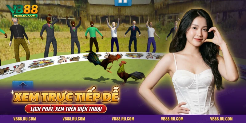 Xem đá gà trực tiếp VB88 qua màn game sới gà có khán giả đứng xem